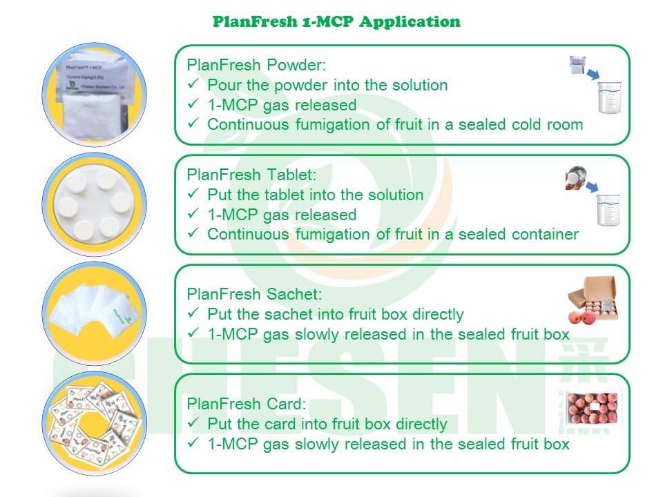 1-MCP application