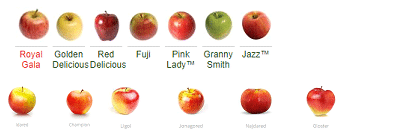 variedad de manzana