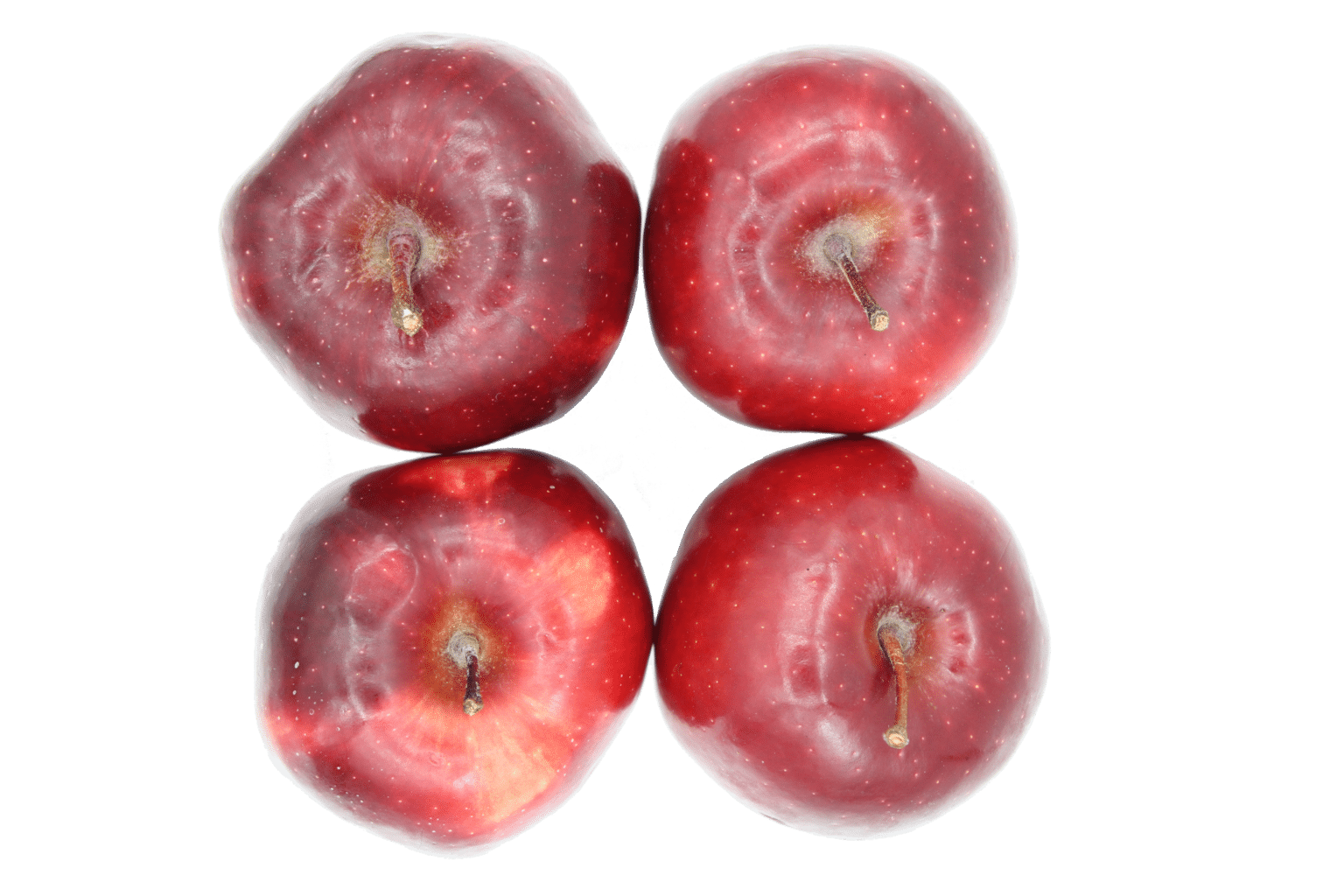 Most apple varieties can treat with 1MCP to extend the shelf life.