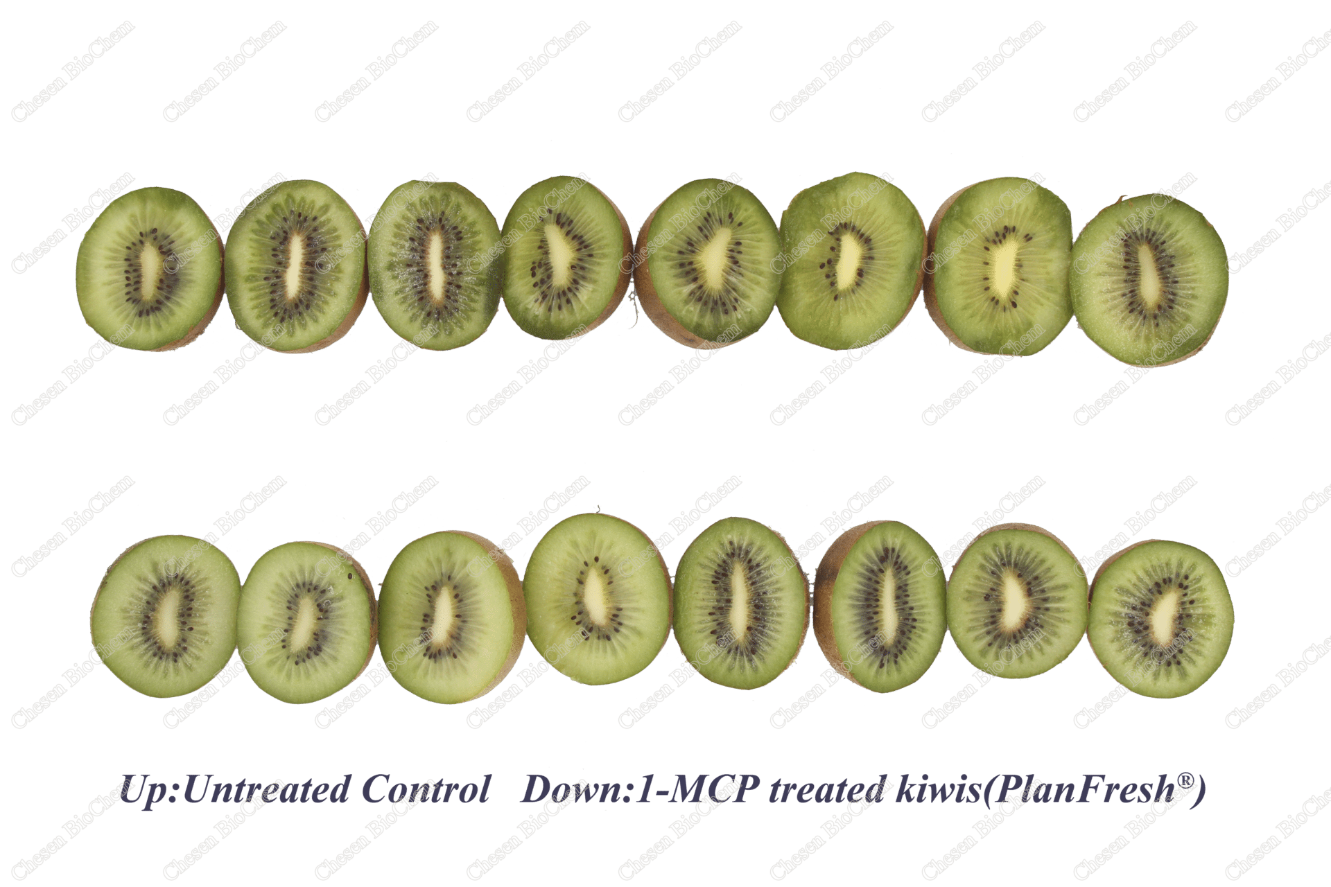 Postharvest Application of 1-MCP Extends Shelf Life of Kiwifruit