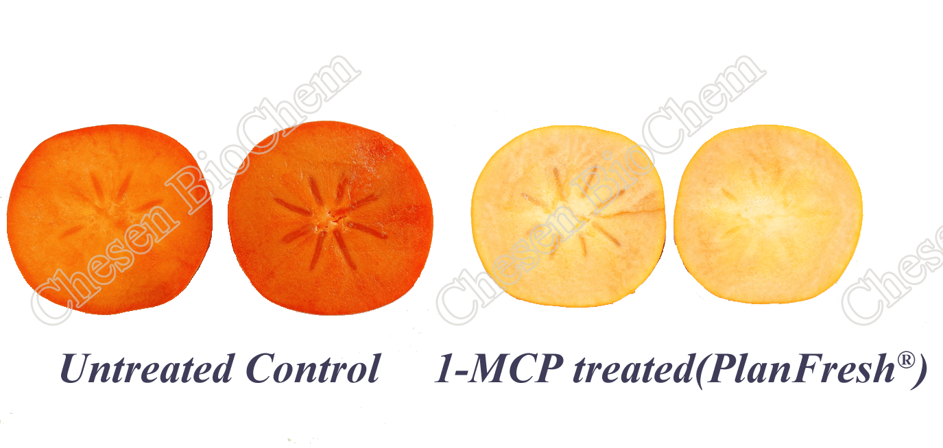 PlanFresh 1-MCP persimmon