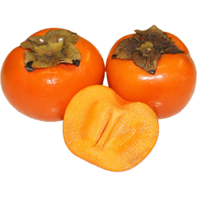 PlanFresh 1-MCP on persimmon