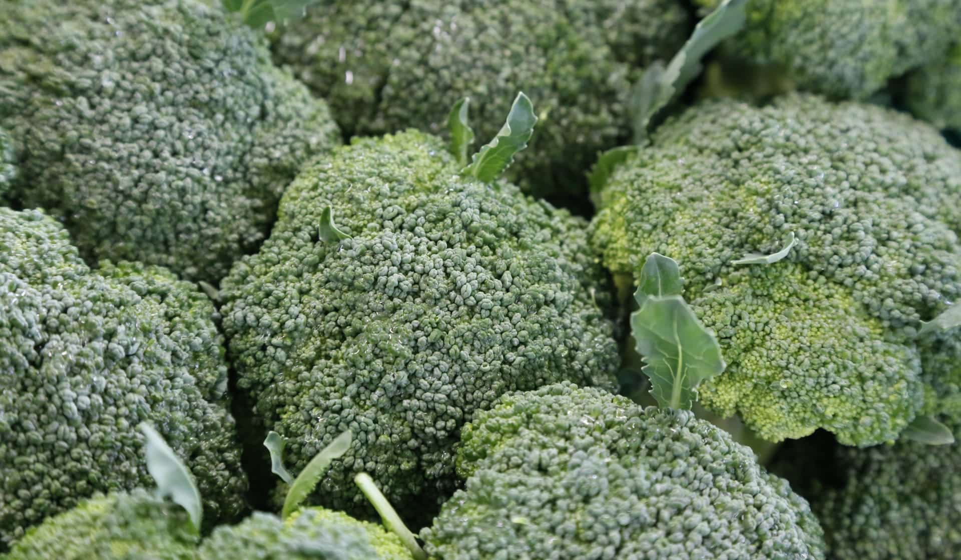 1-MCP broccoli