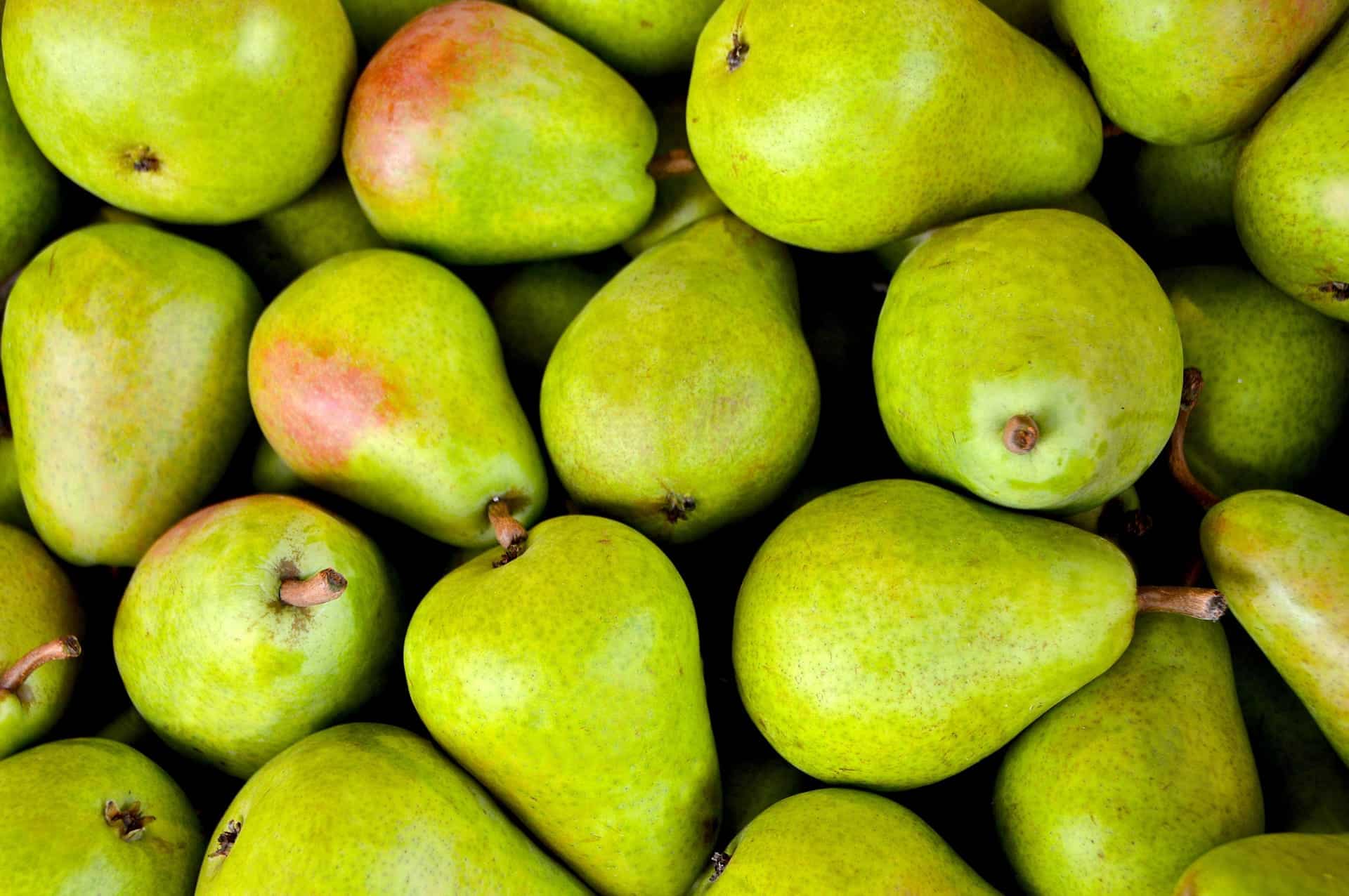 Bitter tannins in Comice pears after cold storage and ripening (pears forum  at permies)